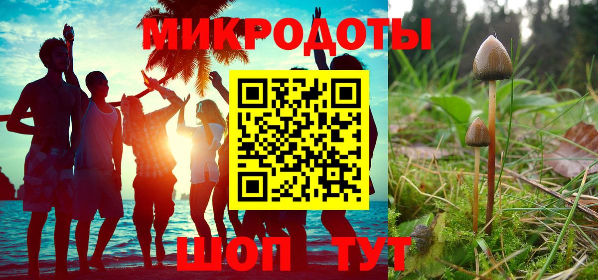 Галлюциногенные грибы Psilocybine cubensis  Вход с VPN  Алатырь 